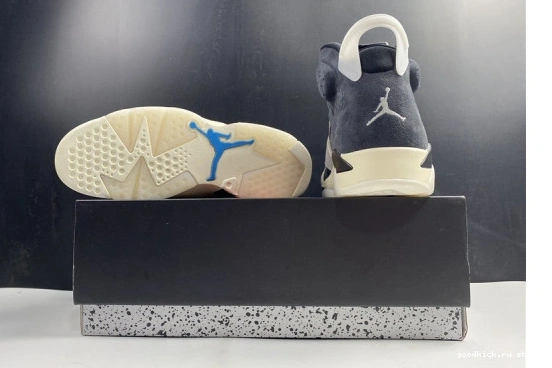 Jordan 6 WMNS “Tech Air Jordan-6 Chrome 0303